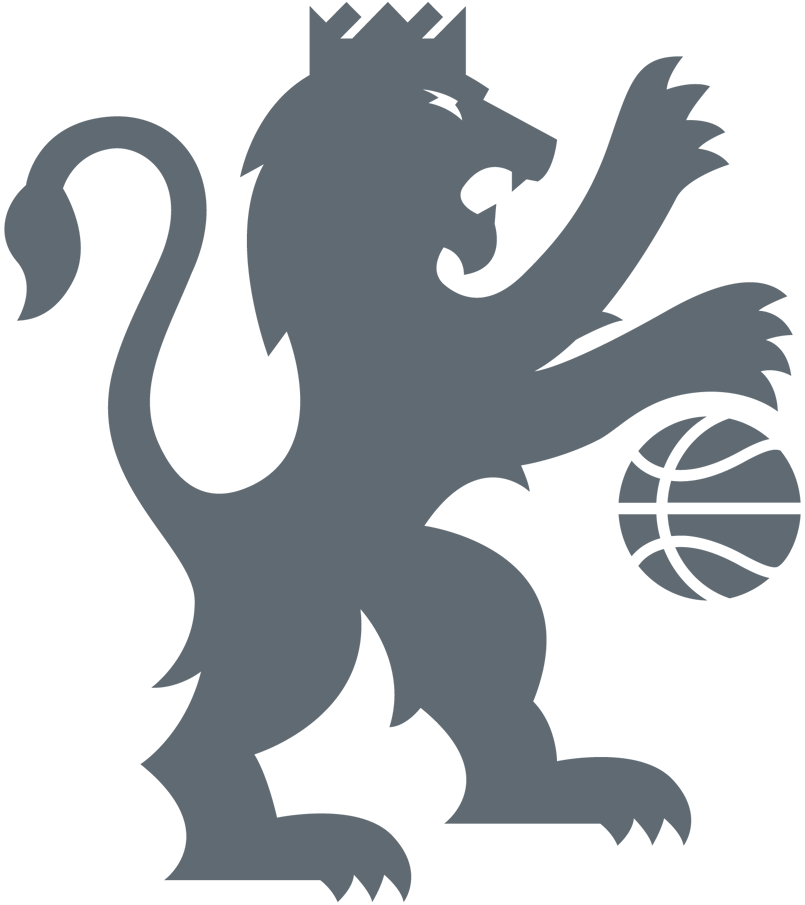 Sacramento Kings 2016-Pres Alternate Logo iron on heat transfer v3